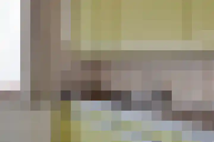 Veldweg 4 A Drempt thumbnail 20
