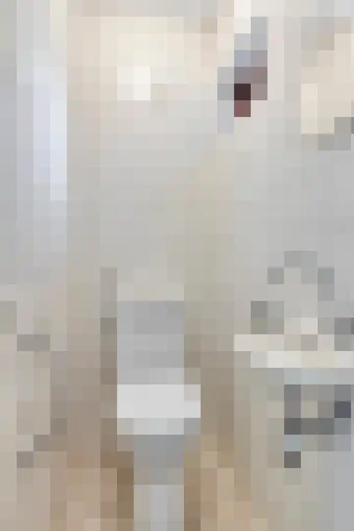 Veldweg 4 A Drempt thumbnail 25