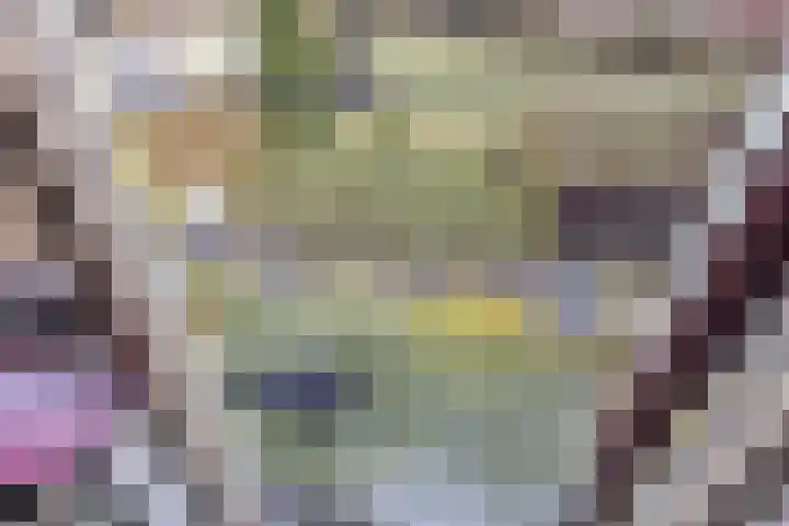 Veldweg 4 A Drempt thumbnail 31