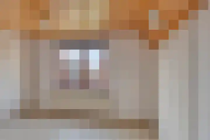 Veldweg 4 A Drempt thumbnail 32