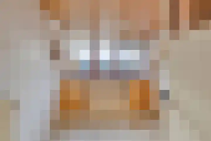 Veldweg 4 A Drempt thumbnail 34
