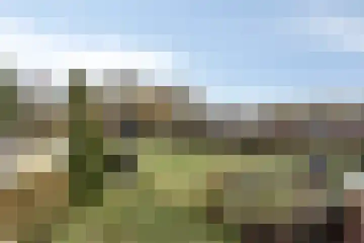 Veldweg 4 A Drempt thumbnail 41
