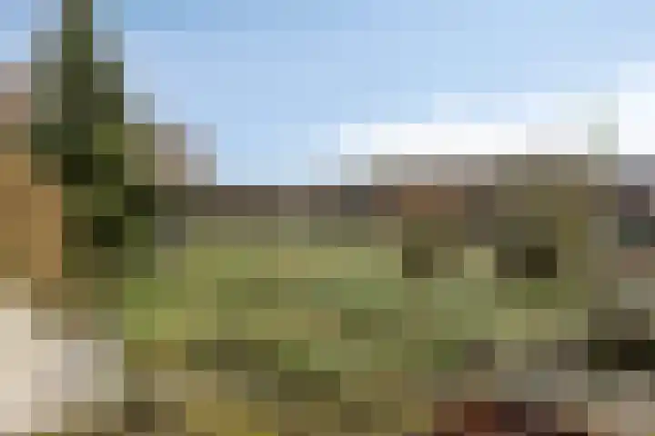 Veldweg 4 A Drempt thumbnail 42