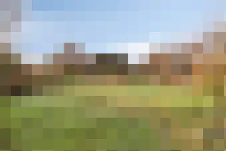 Veldweg 4 A Drempt thumbnail 46
