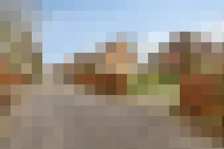 Veldweg 4 A Drempt thumbnail 48