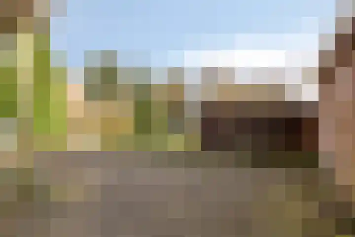 Veldweg 4 A Drempt thumbnail 5