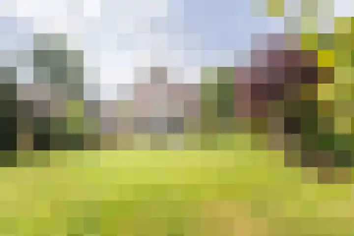 Veldweg 42 Gendringen thumbnail 4