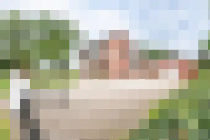 Veldweg 42 Gendringen thumbnail 41