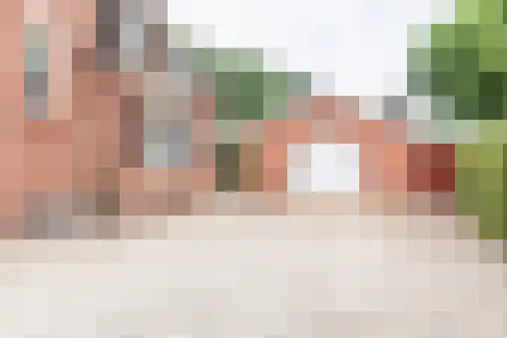 Veldweg 42 Gendringen thumbnail 42