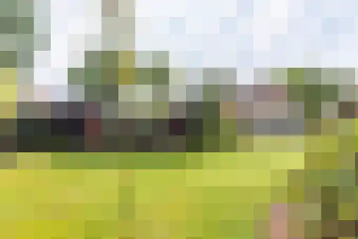 Veldweg 42 Gendringen thumbnail 49