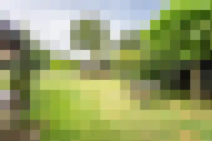 Veldweg 42 Gendringen thumbnail 54