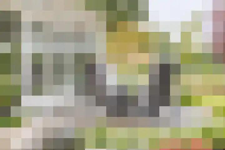 Veldweg 42 Gendringen thumbnail 55