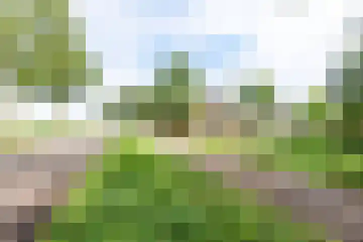 Veldweg 42 Gendringen thumbnail 59