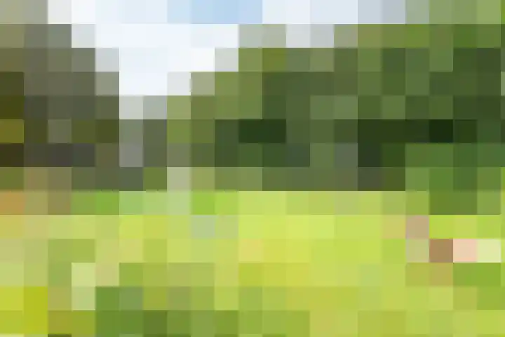 Veldweg 42 Gendringen thumbnail 61