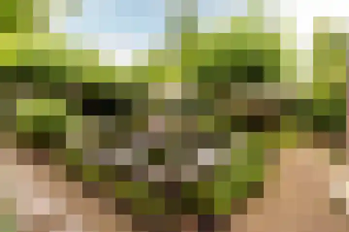Veldweg 45 Almere thumbnail 39