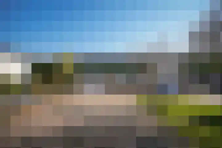 Veldweg 6 b Hedel thumbnail 29