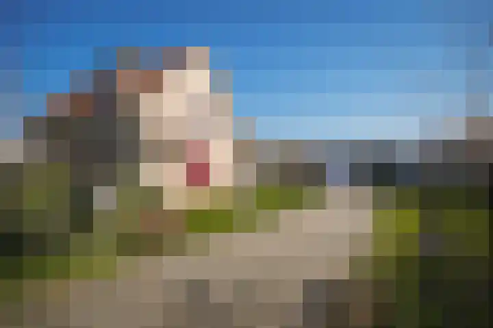 Veldweg 6 b Hedel thumbnail 58