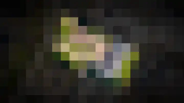 Veldweg 6 b Hedel thumbnail 62