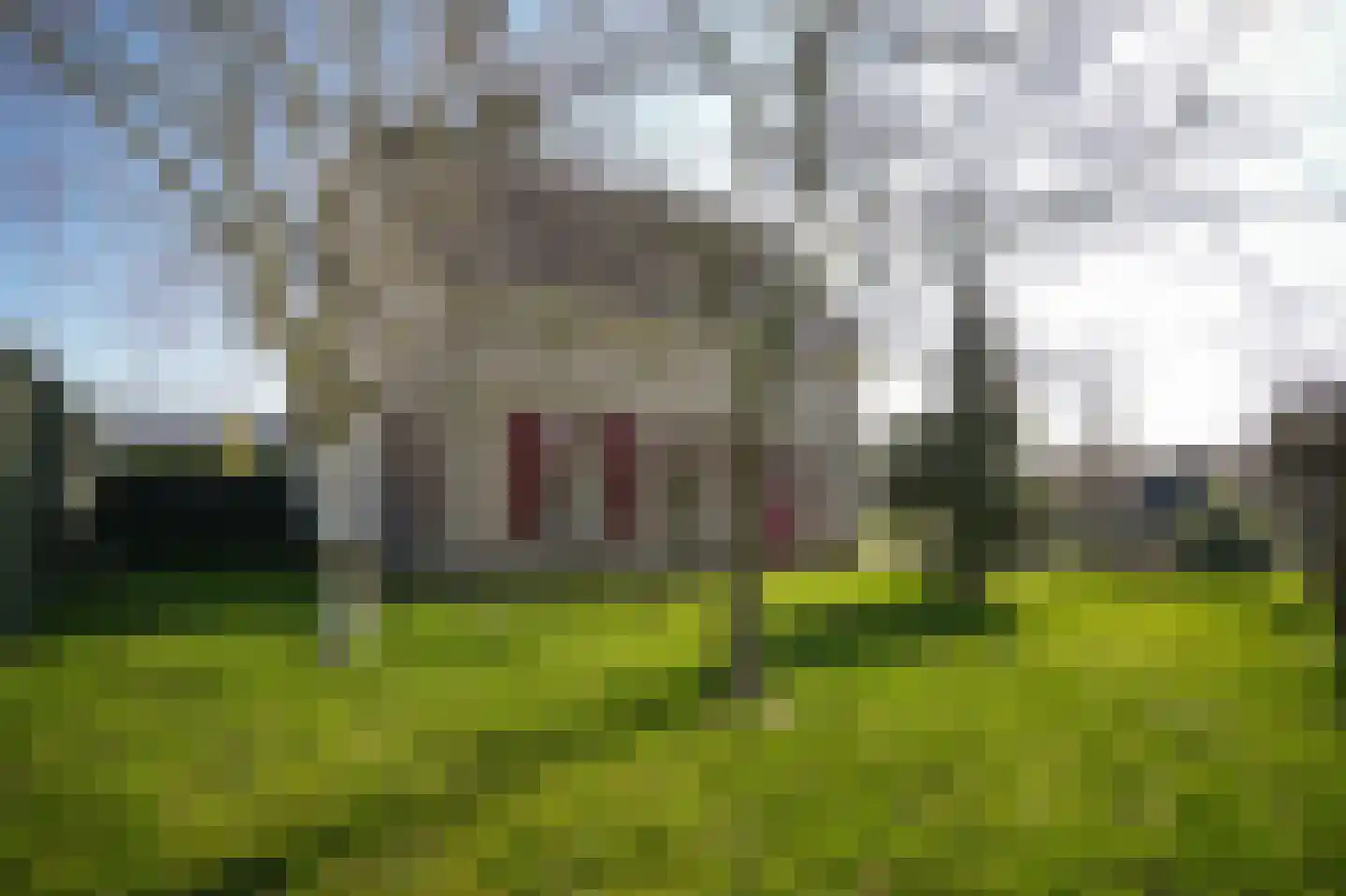 Veldweg 6 b Hedel thumbnail 72