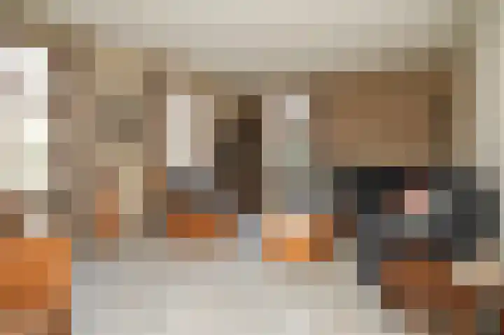 Veldweg 6 b Hedel thumbnail 8