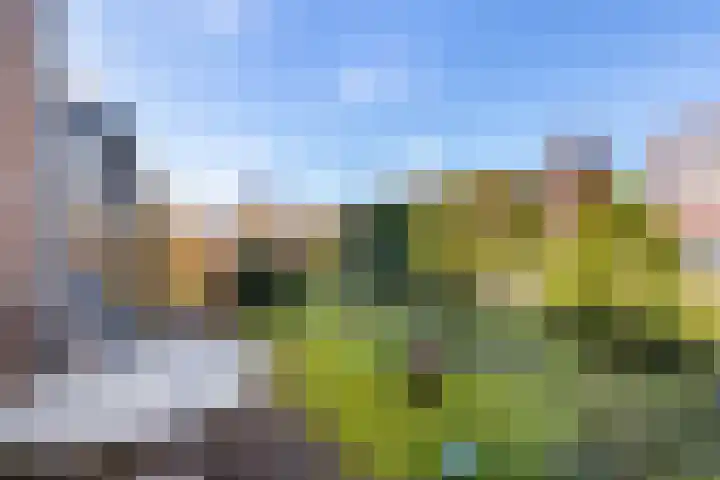 Veldzicht 1 Almelo thumbnail 34