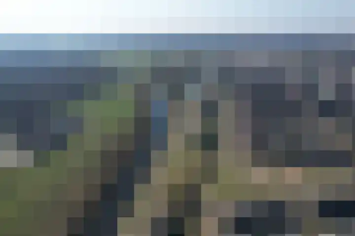 Veldzicht 1 Almelo thumbnail 46