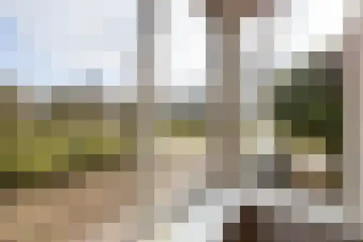 Veldzicht 1 Almelo thumbnail 9