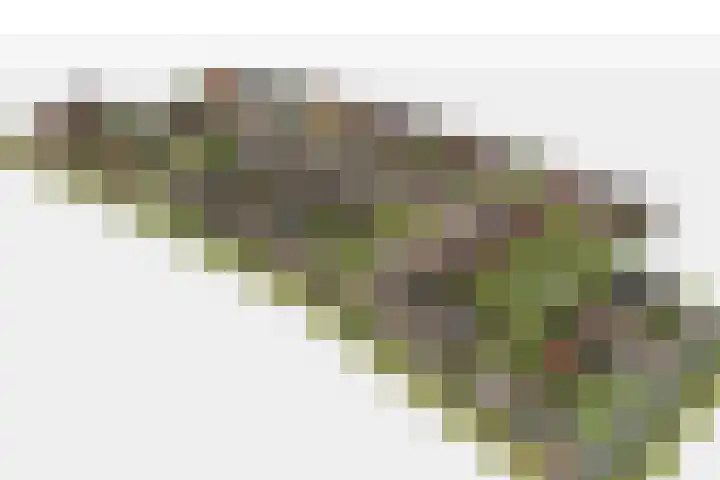 Veldzicht 8 Wanssum thumbnail 5