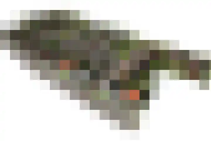 Veldzicht 8 Wanssum thumbnail 6