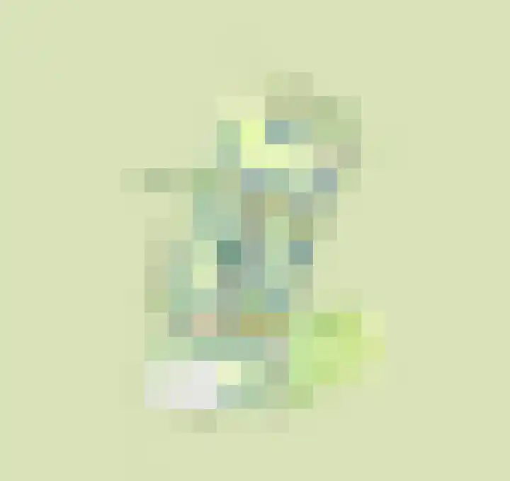 Veldzicht 8 Wanssum thumbnail 7