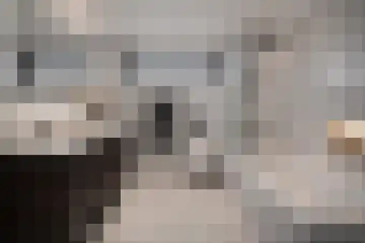 Veldzichtstraat 12 Zoeterwoude thumbnail 31