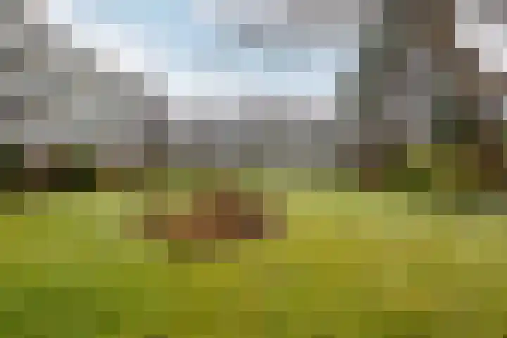 Veldzigtlaan 74 Haarlem thumbnail 17