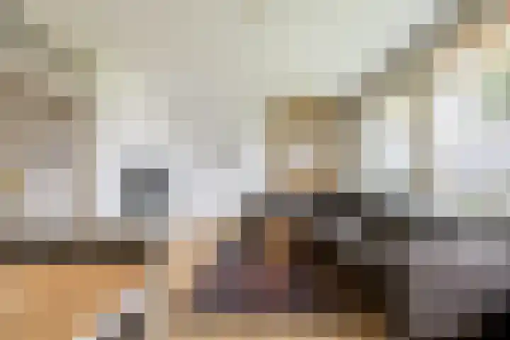 Veldzigtlaan 74 Haarlem thumbnail 8