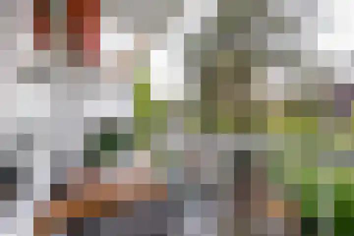 Veldzigtlaan 82 Haarlem thumbnail 13