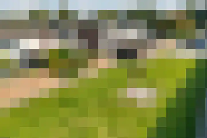 Veldzigtlaan 82 Haarlem thumbnail 18