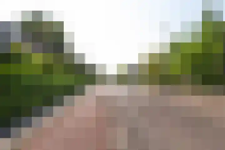 Veldzigtlaan 82 Haarlem thumbnail 22