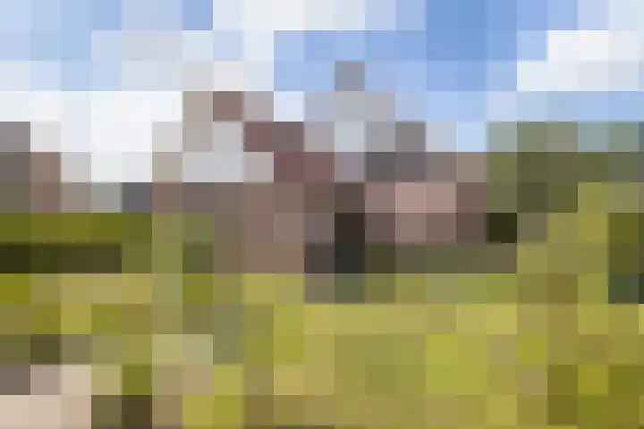 Veldzijde 3 Deurningen foto 3