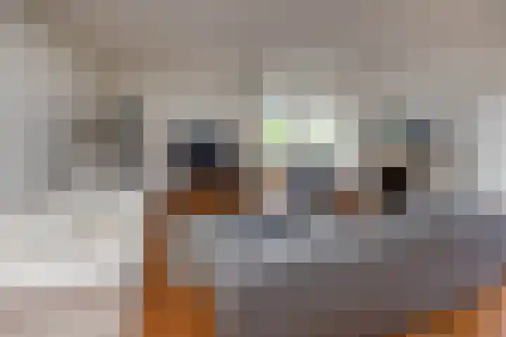 Veldzijde 3 Deurningen thumbnail 4
