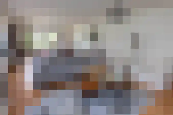 Veldzijde 3 Deurningen thumbnail 6