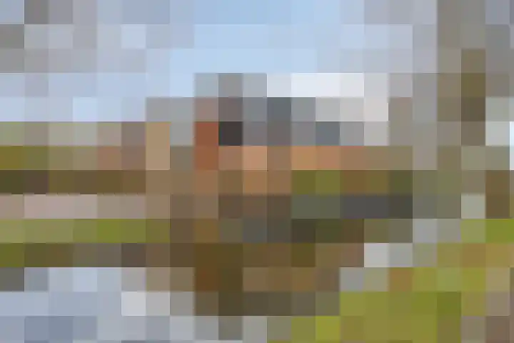 Veldzoom 2 Reeuwijk