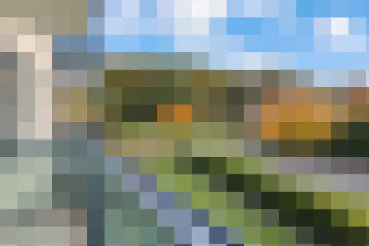 Veldzuring 103 Venlo thumbnail 23