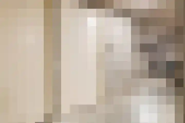 Veldzuring 103 Venlo thumbnail 34