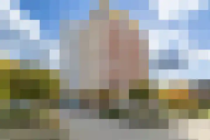 Veldzuring 103 Venlo thumbnail 38