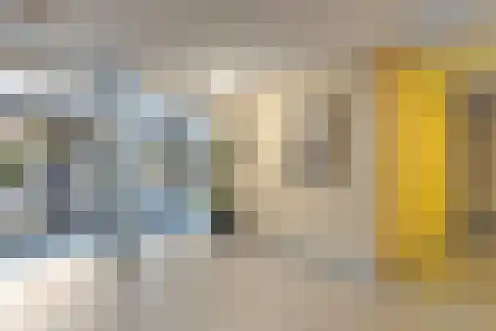 Veldzuring 103 Venlo thumbnail 5