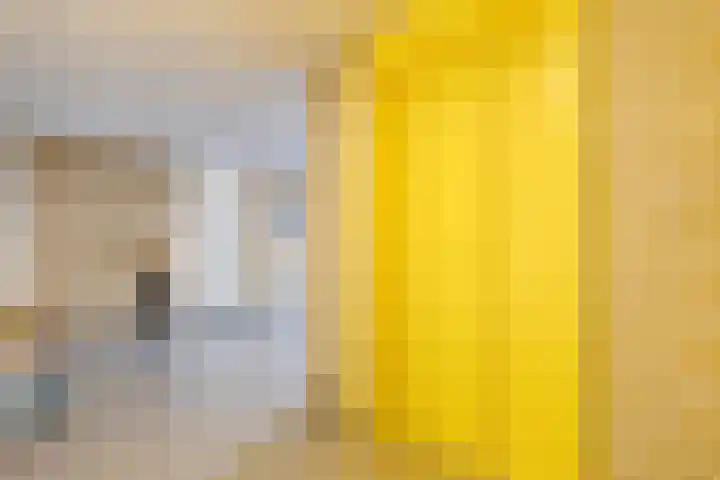 Veldzuring 103 Venlo thumbnail 6