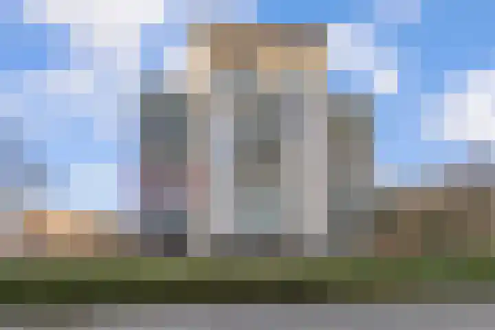 Veldzuring 111 Venlo