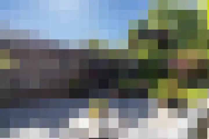 Velgraafweg 14 Holtum thumbnail 35