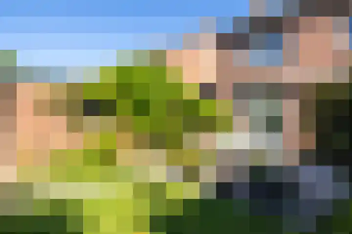 Velgraafweg 14 Holtum thumbnail 36