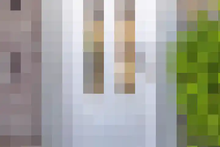 Velgraafweg 14 Holtum thumbnail 4