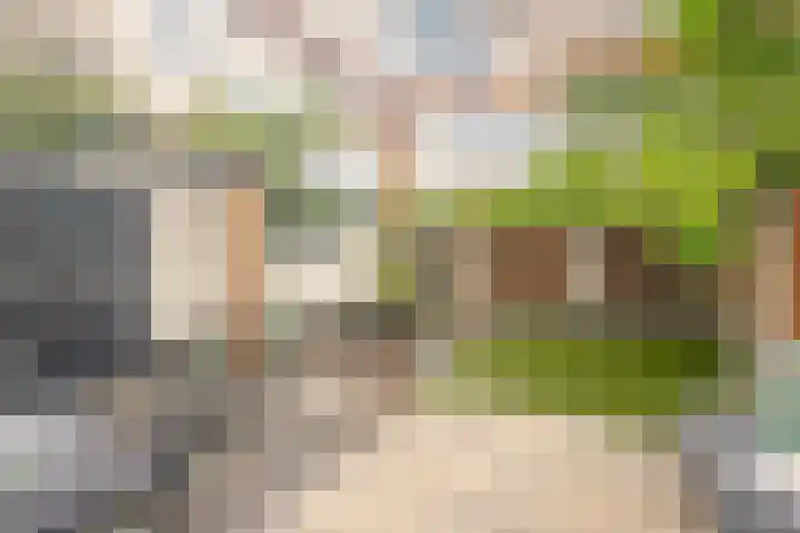 Velgraafweg 18 Holtum thumbnail 20